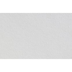 Структурные флизелиновые обои Erfurt Vliesfaser Maxx Flakes-306