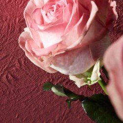 Структурные флизелиновые обои Erfurt Vliesfaser Maxx flowers-201 Структурные флизелиновые обои Erfurt Vliesfaser Maxx flowers-201