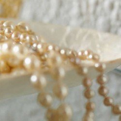 Структурные флизелиновые обои Erfurt Vliesfaser Maxx Pearls-302 Структурные флизелиновые обои Erfurt Vliesfaser Maxx Pearls-302